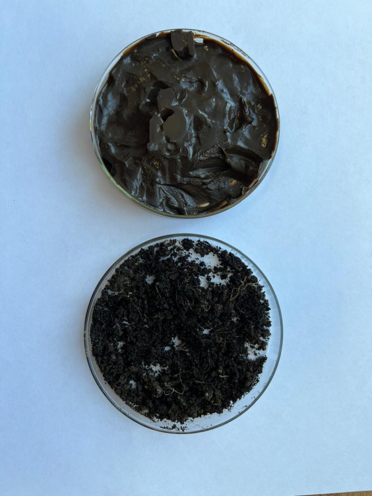 исходный и компостированный щлам-лигнин.jpg